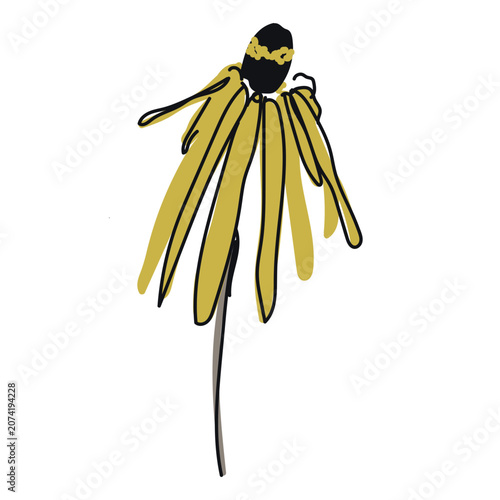 Floral hand drawn illustration, yellow vector flower, botanical abstract illustration