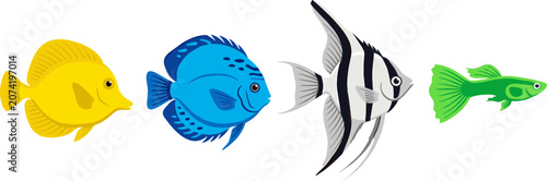 Tableau sur toile Tropical Aquarium Fish Vector Set Featuring Yellow Tang Blue Discus Striped Ange