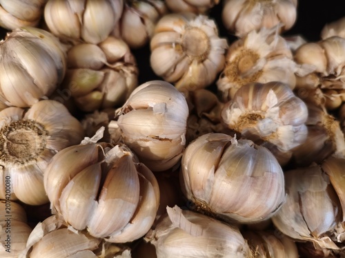 Pile of fresh garlic bulbs, healthy ingredient for cooking, close-up full frame texture