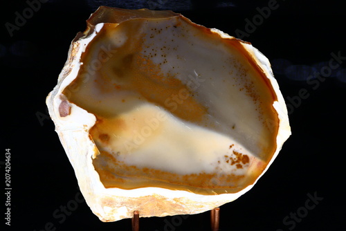Photography Polished cross-section of a chalcedony nodule showcasing intricate iron oxide pa