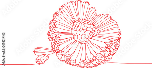 Line Art Red Floral Illustration with Ribbon on White Background