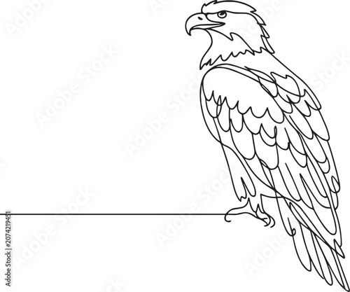 Perched White-Tailed Eagle Isolated on Plain Background Line Art Illustration
