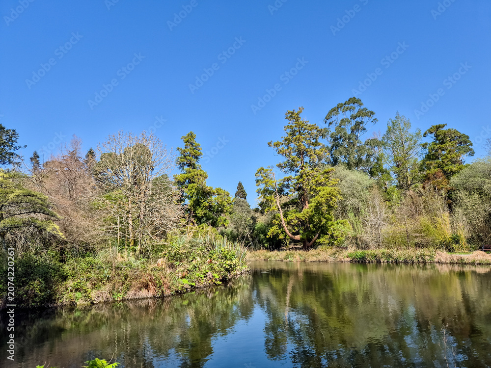 Fototapeta premium Serene pond with reflected trees under blue sky