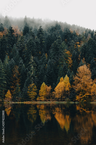 Misty autumn forest reflected in a mountain lake