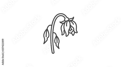 Schilderij op canvas Minimalist line art of a dying wilted flower
