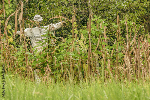 A scarecrow made with a baseball cap, an old shirt and a volleyball ball