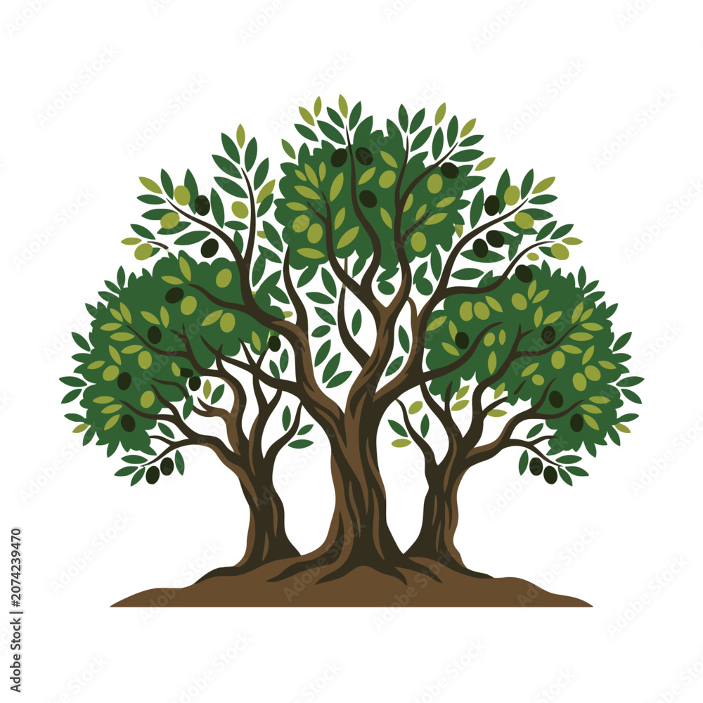 Fototapeta premium A stylized illustration of a lush green olive tree