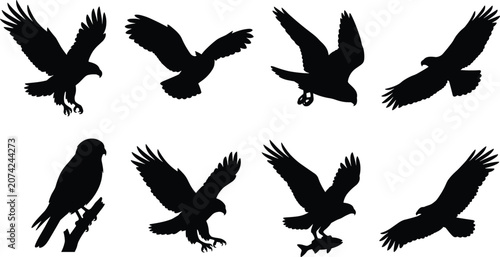 Fotografie Eagle and hawk birds of prey black silhouette icon set showing flying hunting and perched poses in image_15ca44