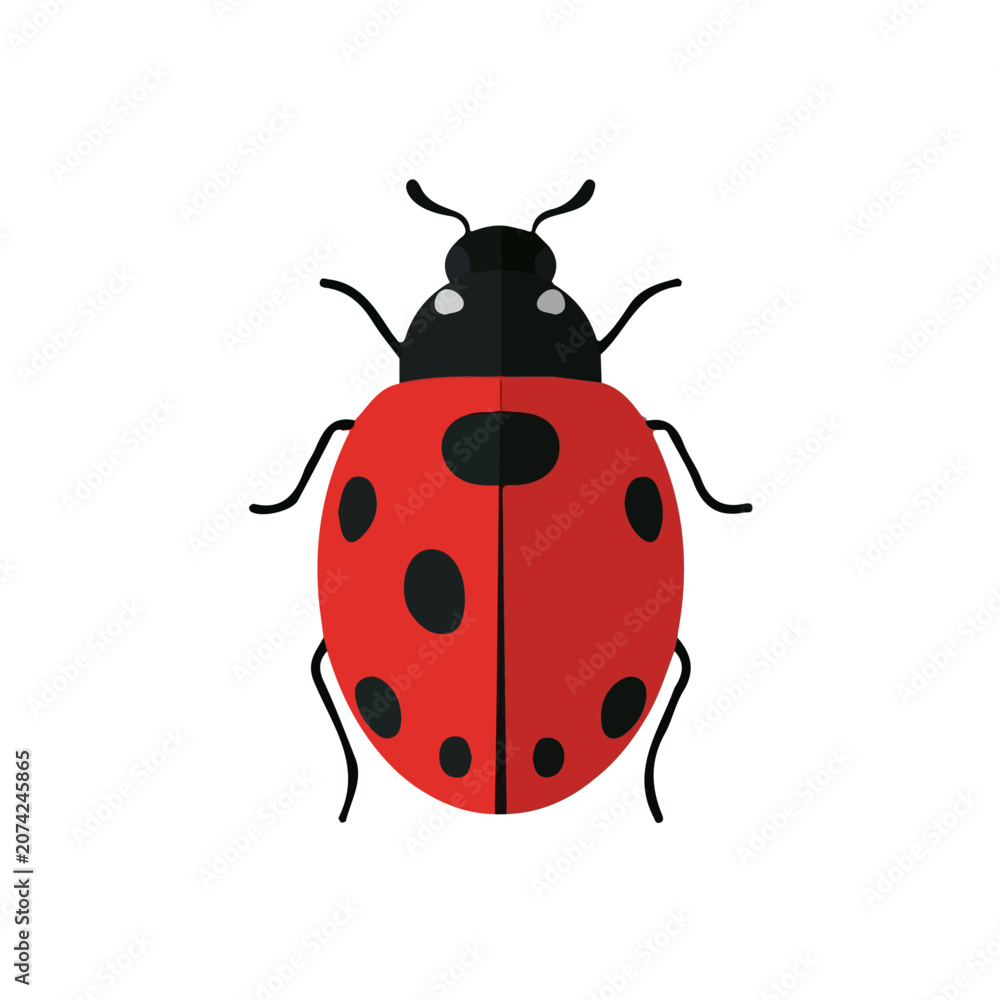 Fototapeta premium Flat 2D illustration of Ladybug, simple modern design, isolated on a white background.