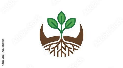 Green plant growing from earth.