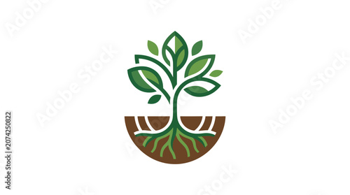 Green plant growing in brown soil.