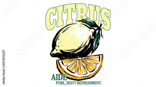 Obraz na plátně Citrus aide lemon illustration