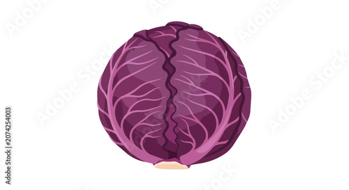 Vibrant Purple Cabbage Head Single Vegetable Isolated on Plain White Background for Healthy Diet and Fresh Food Concept