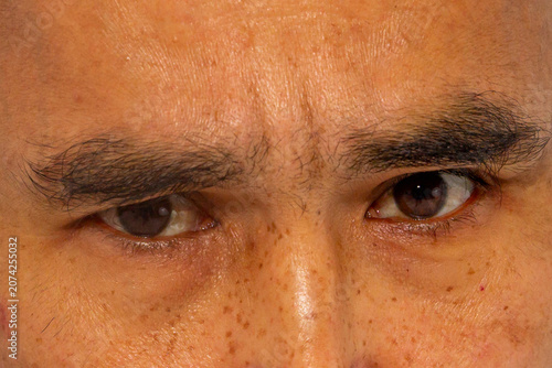 Vászonkép Close-up of judgmental eyes of Asian man