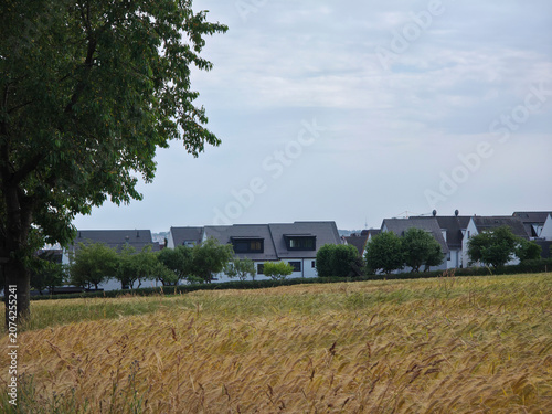 Принти на полотні germany, modern newly built homes in ostfildern kemnat rising behind golden ripe