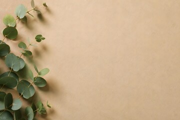 Eucalyptus leaves branch on a beige paper background with copy space