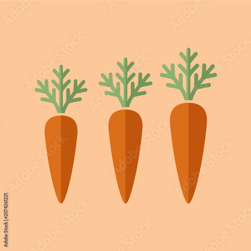 Tableau sur toile Three flat vector carrots with green tops on a peach background