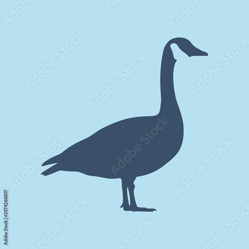 A dark silhouette of a goose on a light blue background