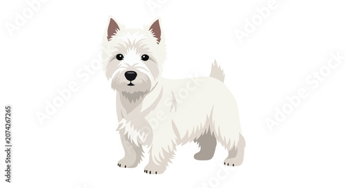 Adorable West Highland White Terrier Dog Standing Illustration Isolated on White Background for Pet Lovers Design