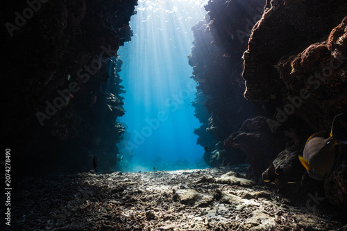 Fotografi Sunlight penetrating an underwater canyon with tropical fish