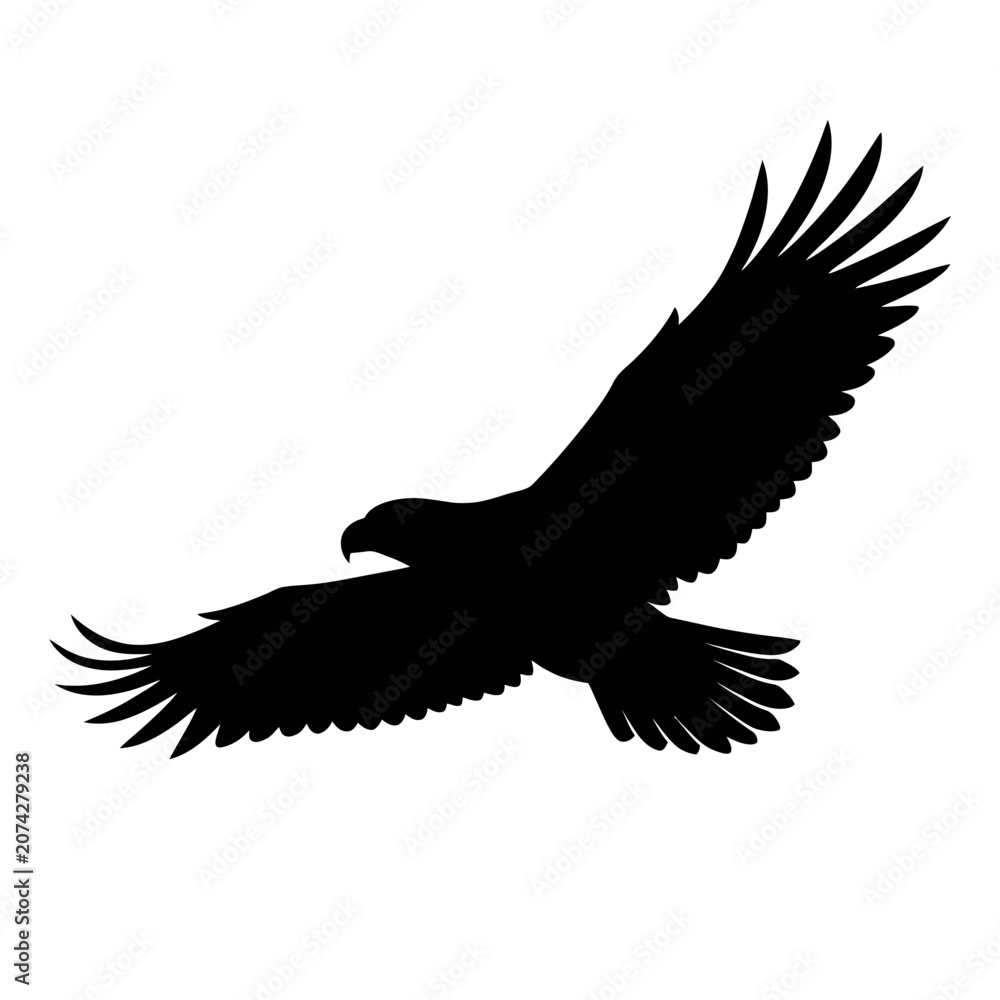 Fototapeta premium Black eagle silhouette, flying bird icon, wildlife symbol, vector graphic isolated on White Background silhouette