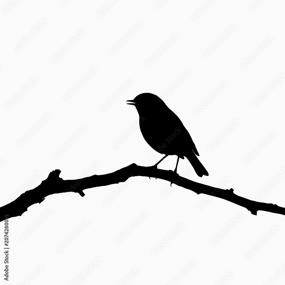 Fototapeta premium Black bird silhouette, perched on branch, birdwatching icon, wildlife symbol isolated on White Background silhouette