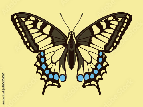 Foto A swallowtail butterfly illustration on a pale yellow background