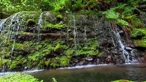 神奈川県箱根で撮影した千条の滝
