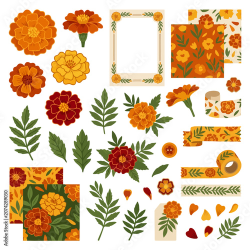 Floral marigold collection with orange flowers and green leaves