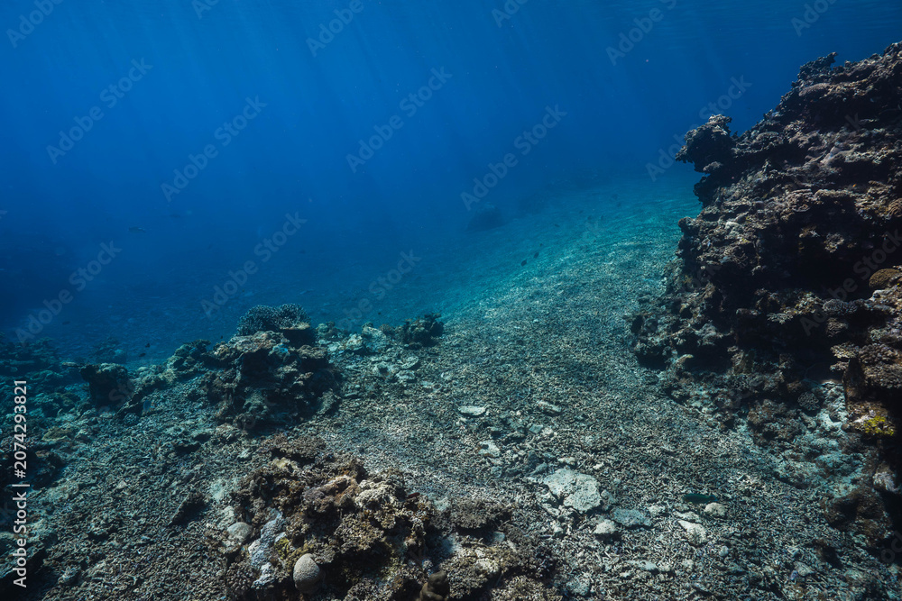 Fototapeta premium Underwater coral valley with clear tropical water