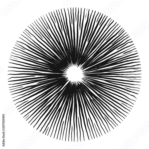 Abstract radiating lines forming a circular pattern on a white background, suggesting a mushroom gill, a sunburst, an iris, or an eye, in a woodcut style