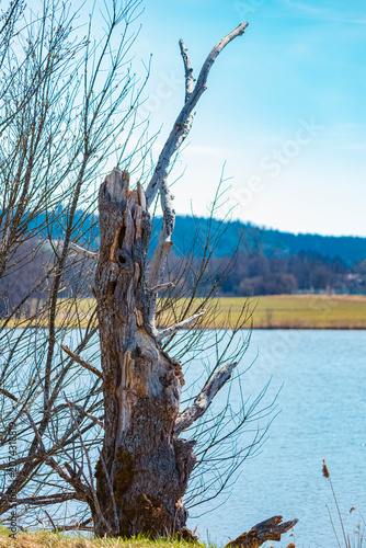 Spring landscape on a sunny day near Wiesenfelden, Bavarian forest, Straubing, Bogen, Bavaria, Germany