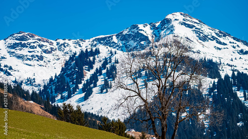 Alpine summer view at Aurach near Kitzbuehel, Tyrol, Austria