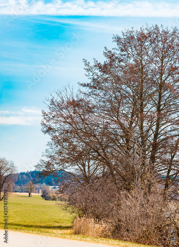 Spring landscape on a sunny day near Wiesenfelden, Bavarian forest, Straubing, Bogen, Bavaria, Germany
