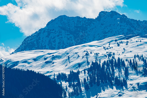 Alpine summer view at Aurach near Kitzbuehel, Tyrol, Austria