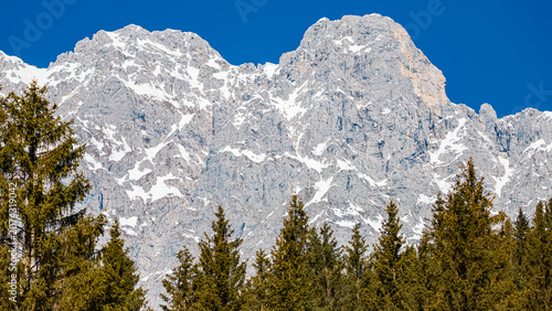 Alpine spring view at Wochenbrunner Alm, Mount Wilder Kaiser, Ellmau, Kufstein, Tyrol, Austria