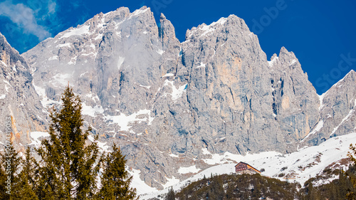 Alpine spring view at Wochenbrunner Alm, Mount Wilder Kaiser, Ellmau, Kufstein, Tyrol, Austria