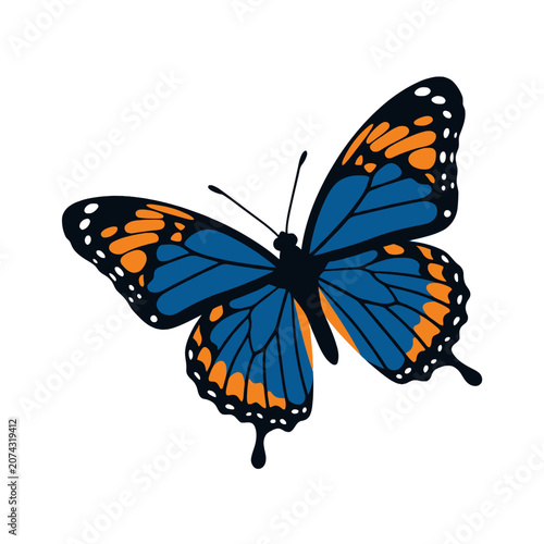 A blue and orange butterfly rests on a white background