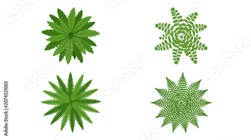 Εκτύπωση καμβά Four green fern plant icons are shown from a top view