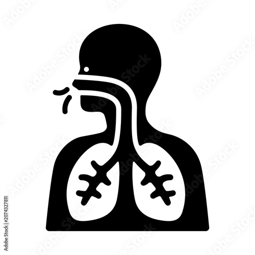 Respiratory System