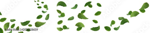 Fotografie Set of different variations of falling/flying mint leaves