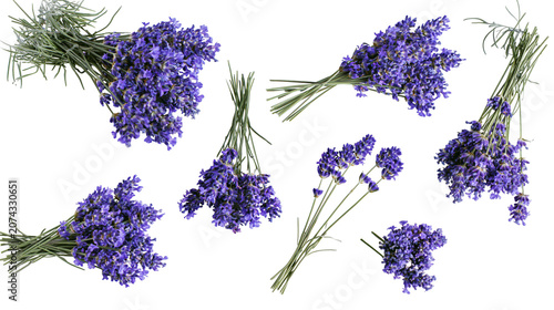 Photos Purple lavender flower bouquets and sprigs