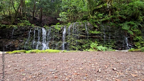 神奈川県箱根で撮影した千条の滝