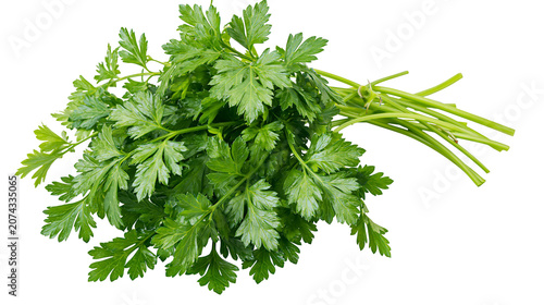 Φωτογραφία Fresh bunch of curly parsley with green stems
