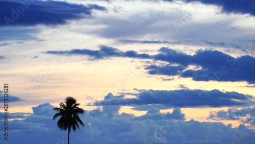 A lone coconut palm tree silhouetted against a dramatic evening sky as dark clouds slowly drift across the horizon. Soft golden light shines through the clouds, creating a peaceful and atmospheric tro