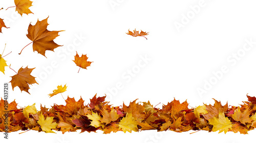 Foto Autumn maple leaves falling and scattered on white