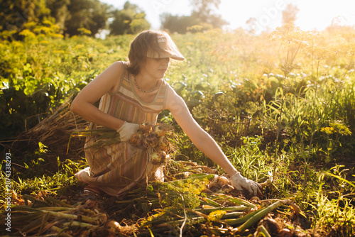 Woman harvesting organic onions in home garden