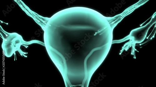 Detailed Conceptual Medical Visualization of a Healthy Reproductive System with Glowing Elements for Healthcare and Educational Applications