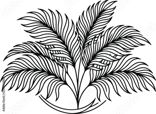 Detailed line art illustration of tropical palm fronds and fern leaves bunch isolated on white background for botanical design.