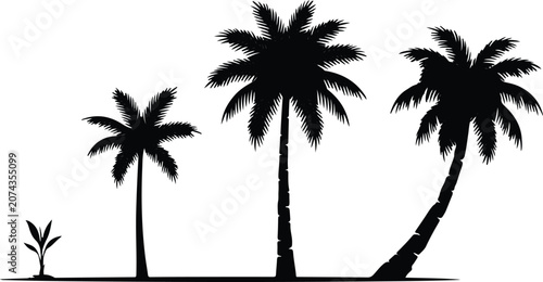 Abstract geometric style palm trees silhouette with ornamental trunk and structured leaves vector illustration isolated on white background.